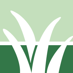 Lawn Rejuvenation Pros
