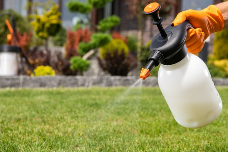 Spring Lawn Fertilizing in Ventura County, CA