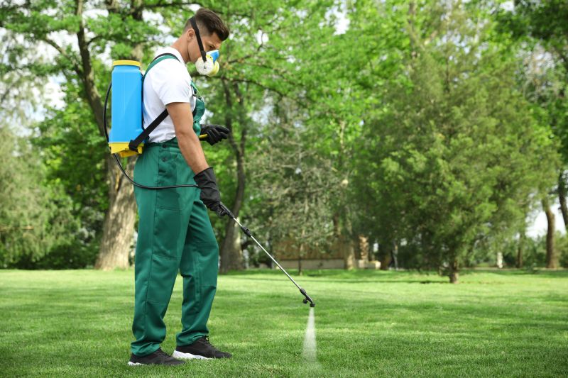 Spring Lawn Treatment in Ventura County, CA