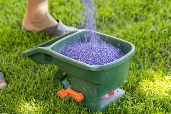 Autumn Lawn Fertilizing