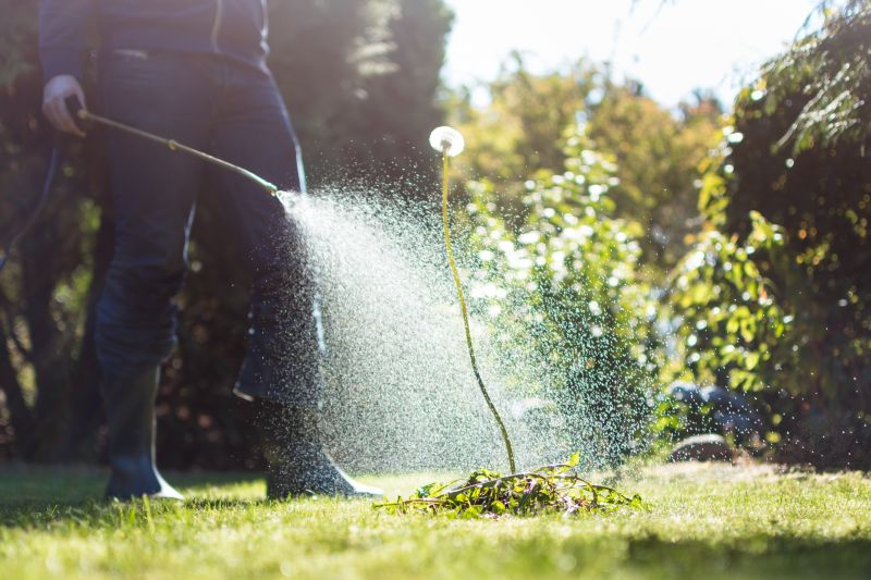 Crabgrass Prevention in Honolulu, HI