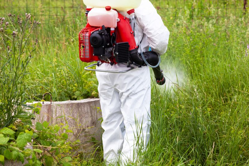 Crabgrass Prevention in Honolulu, HI