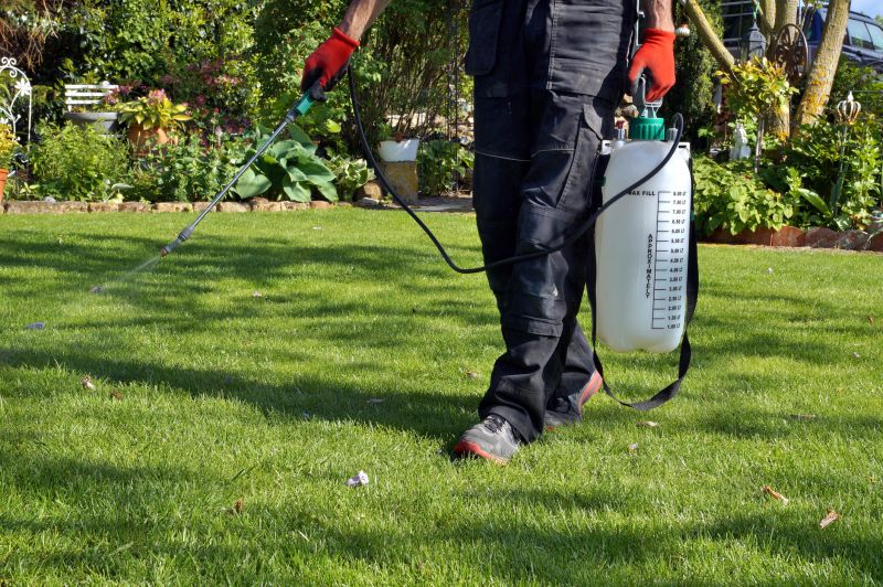 Crabgrass Removal in Rockwall, TX
