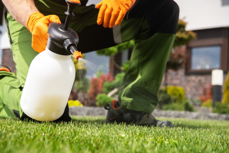 Crabgrass Removal in Ventura County, CA