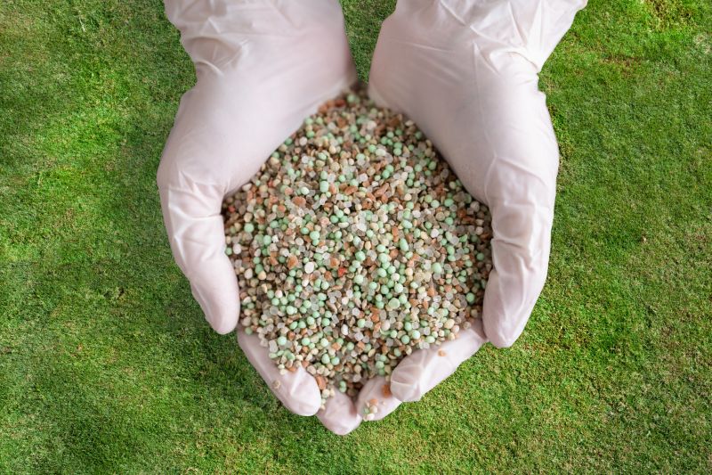 Fall Lawn Fertilizing in Ventura County, CA