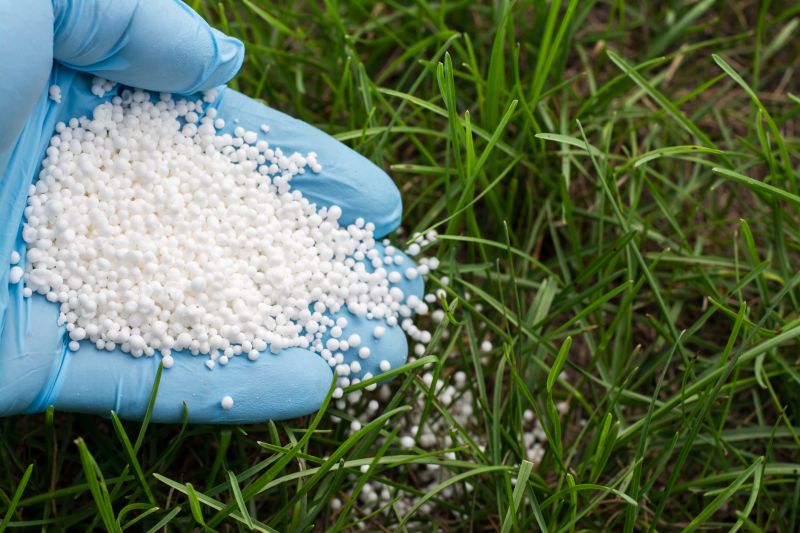 Grass Fertilizing Service in Honolulu, HI