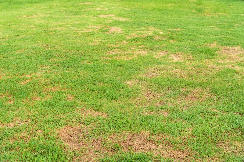 Grass Treatment in Honolulu, HI