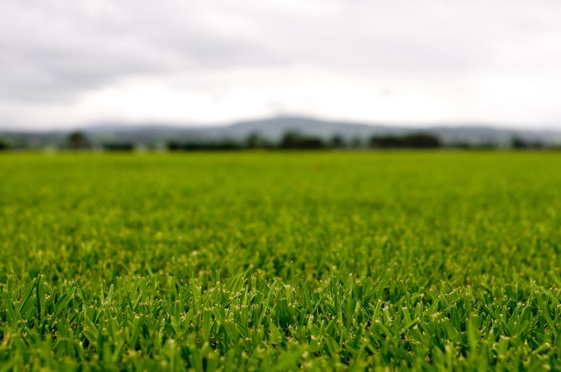 Landscape Fertilizing Service in Ventura County, CA