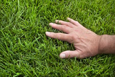 Lawn Fertilizing Service in Ventura County, CA