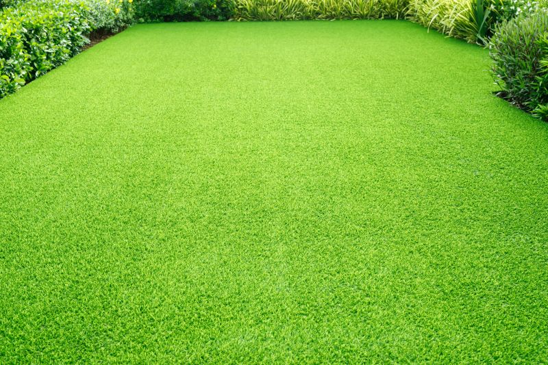 Lawn Rejuvenation