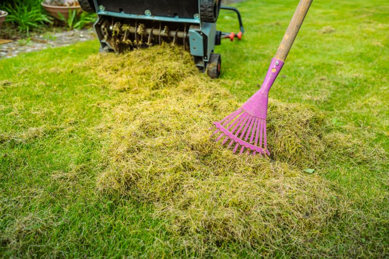 Lawn Rejuvenation Equipment