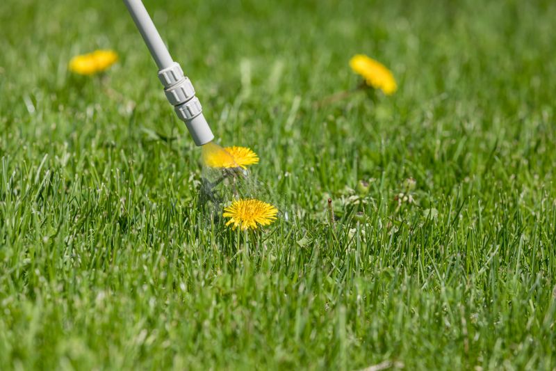 Lawn Spraying in Aiken, SC