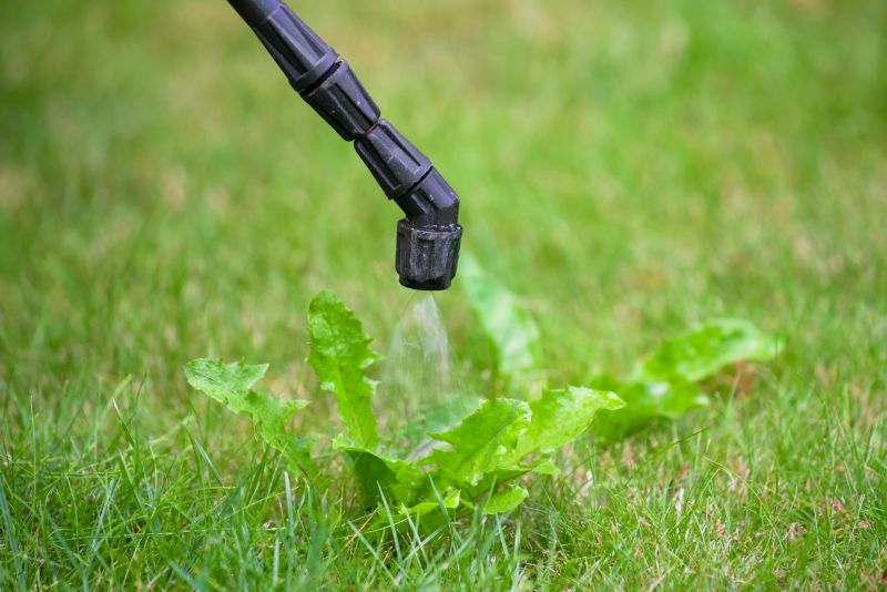 Lawn Spraying in Honolulu, HI