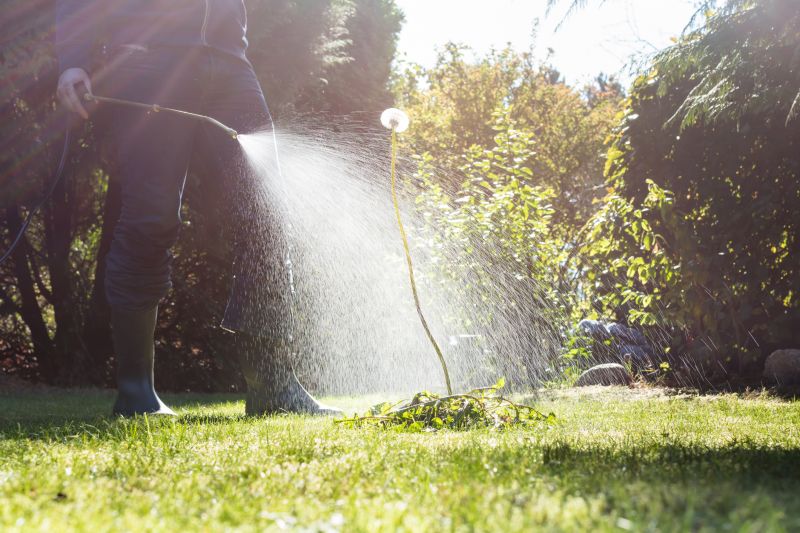 Lawn Spraying in Ventura County, CA