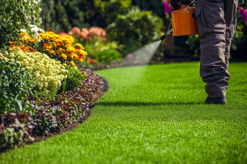 Lawn Treatment Service in Honolulu, HI