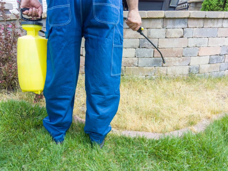 Lawn Treatment Service in Ventura County, CA