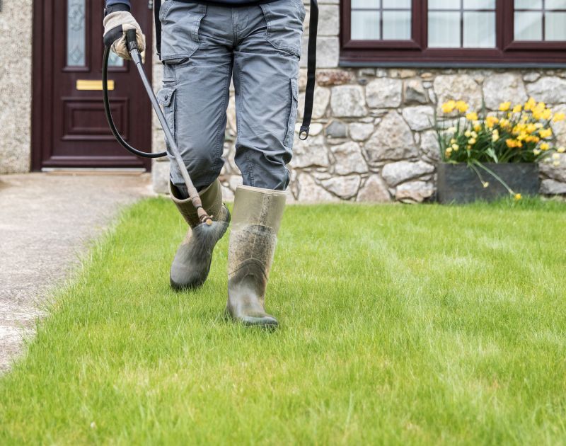 Lawn Treatment Service in Ventura County, CA