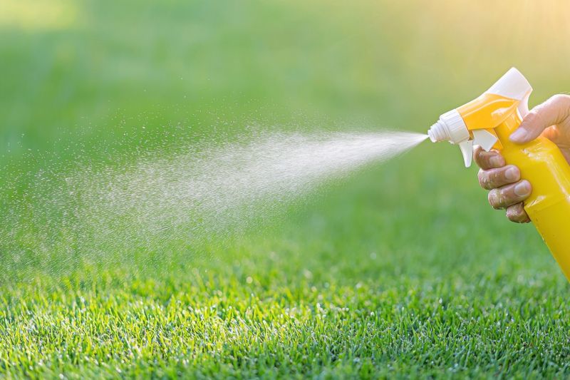 Lawn Weed Control in Honolulu, HI