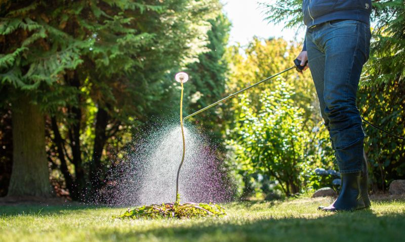 Lawn Weed Spraying in Rockwall, TX