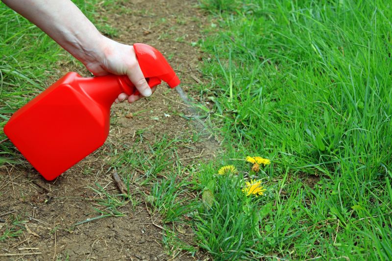 Lawn Weed Spraying in Honolulu, HI