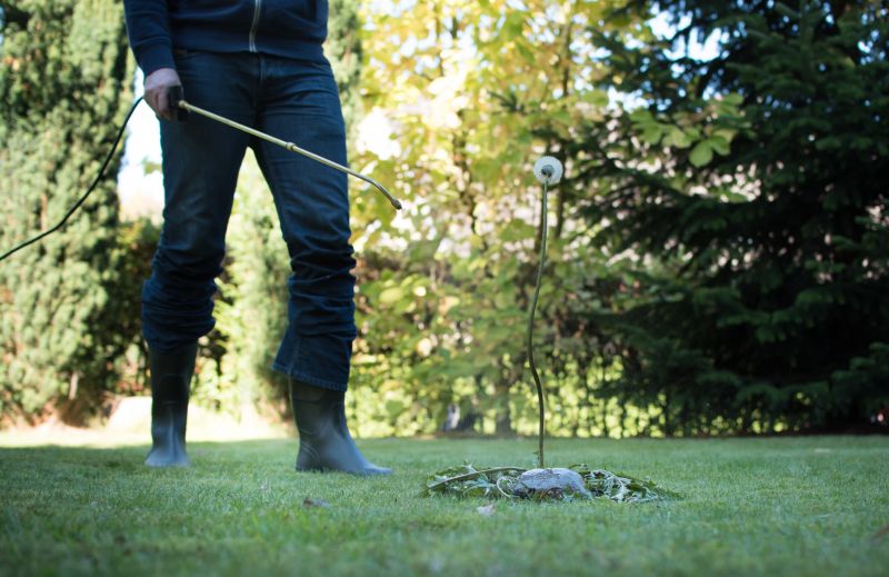 Lawn Weed Treatment in Rockwall, TX