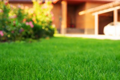 Products For Lawn Rejuvenations in use