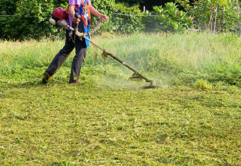 Slope Weed Control in Aiken, SC