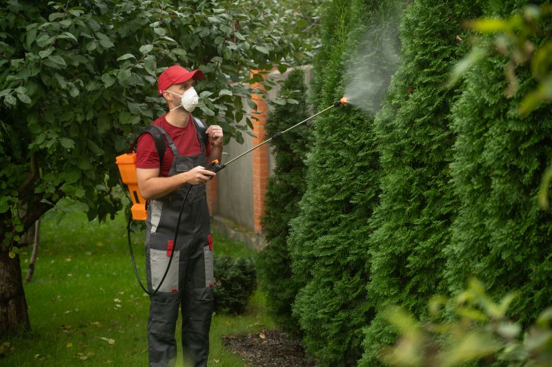 Thistle Treatment in Rockwall, TX