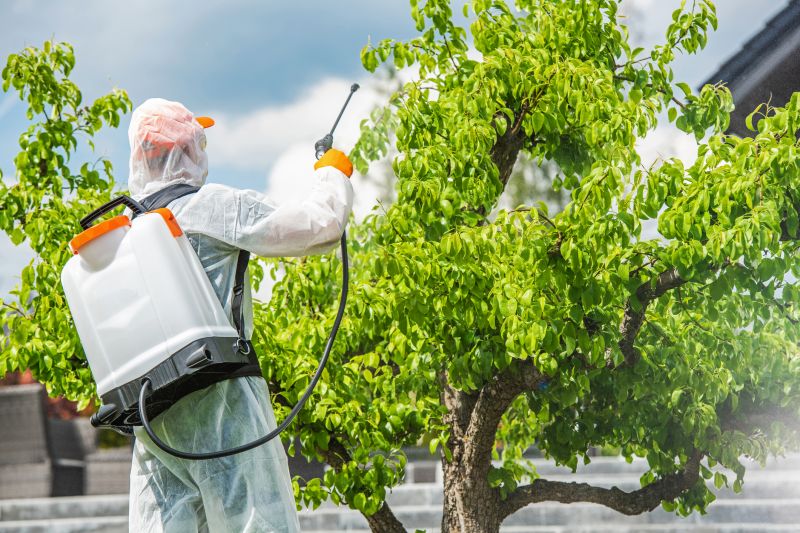 Weed Prevention Service in Honolulu, HI