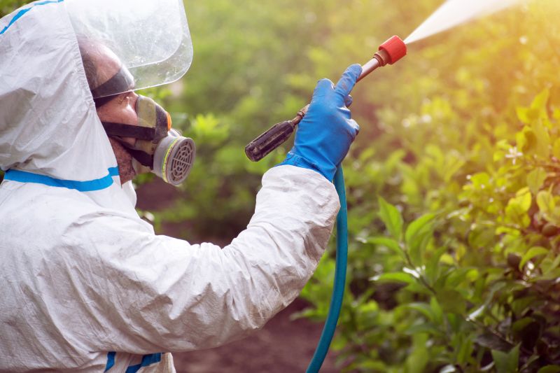 Weed Prevention Service in Aiken, SC