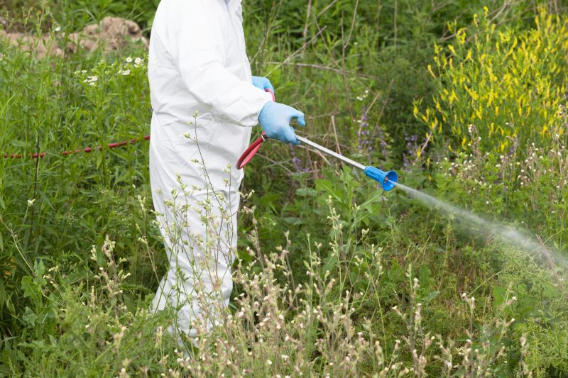 Weed Spraying in Honolulu, HI