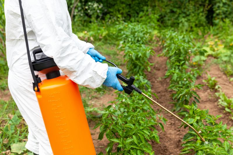 Weed Spraying in Aiken, SC