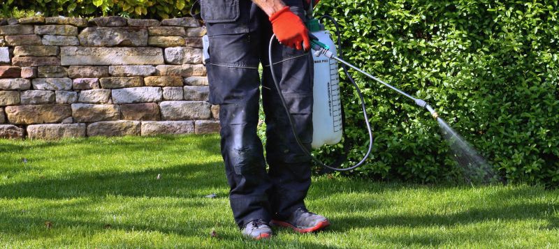 Yard Treatment Service in Ventura County, CA